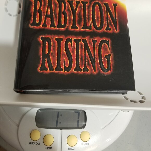 "Babylon Rising" by Tim LaHaye and Greg Dinallo, EUC - Picture 13 of 13